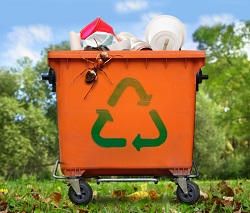 junk-removal